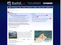  BOOKING INFO, BLUEWOLF, CAMPS, Eagle hunting New!