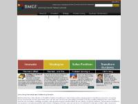 BMGI Consulting BMGI Consulting