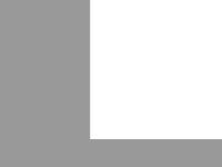 Scierie - Fabricant de parquets, charpente et plots depuis 1945