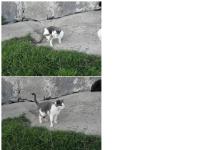 visa bogetorp.se data