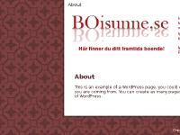 liten boisunne.se skärmbild liten boisunne.se skärmbild
