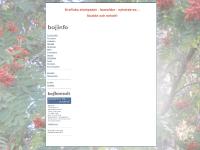 BOJINFO - strategisk information och reklam BOJINFO - strategisk information och reklam