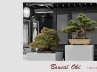 Bonsai OKI - Une autre vision du Bonsaï Bonsai OKI - Une autre vision du Bonsaï