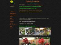 pépinières bonsaï defferrard, pépinières bonsaï jean marc defferrard, pépinières bonsaï jean defferrard, pépinières bonsaï marc defferrard  pépinières bonsaï defferrard, pépinières bonsaï jean marc defferrard, pépinières bonsaï jean defferrard, pépinières bonsaï marc defferrard