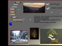 gallerie photos, Expo bonsai, s.o.s Bonsai gallerie photos, Expo bonsai, s.o.s Bonsai