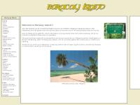 boracayonline.com