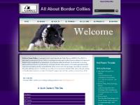 bordercollie.org BC Basics, Border Collie Characteristics, Tips on Getting a Border Collie bordercollie.org BC Basics, Border Collie Characteristics, Tips on Getting a Border Collie
