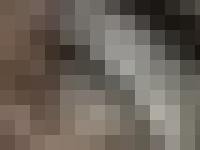 Border Terrier - Terriland Border Terrier - Terriland