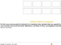 borderterrierfox  borderterrierfox