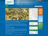 liten borgebyfaltdagar.se skärmbild