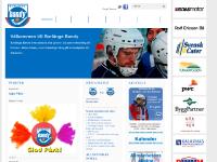 Borlänge Bandycup 2011 Borlänge Bandycup 2011