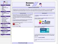Bienvenue sur le site de Bossons Futé Bienvenue sur le site de Bossons Futé