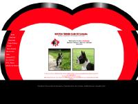 bostonterrierclubofcanada.com - bostonterrierclubofcanada bostonterrierclubofcanada.com - bostonterrierclubofcanada