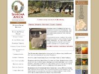 botswana.co.za botswana safari, safari holidays, safaris in botswana