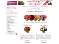  Coffrets Cadeaux, Fleurs Artificielles, Fleurs & Bouquets, Bijoux en Fleurs