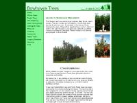 bowhayestrees.co.uk bowhayestrees.co.uk