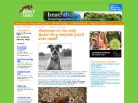 liten boxer-dog.org skärmbild liten boxer-dog.org skärmbild