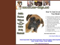 Boxer dog | Boxer Puppy | Boxerdog | boxerpuppy | care guide | boxer tips Boxer dog | Boxer Puppy | Boxerdog | boxerpuppy | care guide | boxer tips