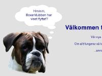 liten boxerklubben.nu skärmbild liten boxerklubben.nu skärmbild