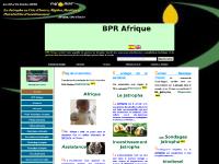 BPR Afrique, Projet Jatropha, Graine Jatropha BPR Afrique, Projet Jatropha, Graine Jatropha