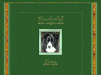 Brackenhill Border Collies Brackenhill Border Collies
