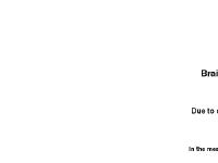 Brain Bliss - Free webmaster articles, tools, and more!