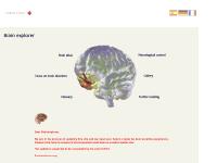 Brain Explorer Brain Explorer