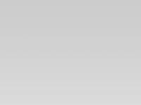 brand-rex.es Brand-Rex, Brand Rex, Global brand-rex.es Brand-Rex, Brand Rex, Global