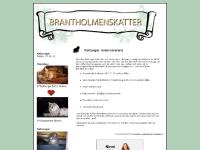 brantholmenskatter - brantholmenskatter -