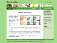 International Tea Buyers (UK), Wholesale Specs, The SGS Advantage, The Science Behind SGS International Tea Buyers (UK), Wholesale Specs, The SGS Advantage, The Science Behind SGS
