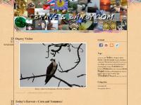 BraveandDandy - Homepage