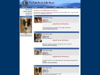 Blue Ridge Border Collie Rescue