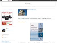 Petrels, A Greater Roadrunner Where Now??, 5:39 PM, Snake In The Grass Petrels, A Greater Roadrunner Where Now??, 5:39 PM, Snake In The Grass