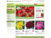 Premium Holland Bulbs, Flower Bulbs, Daylilies, Daffodils, Dahlias, Perennials, Tulip Bulbs, Garden Plants, Peonies and more - Brecks.com Premium Holland Bulbs, Flower Bulbs, Daylilies, Daffodils, Dahlias, Perennials, Tulip Bulbs, Garden Plants, Peonies and more - Brecks.com