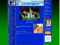  BRAVO / Sigge, Enchilada / Stella, Kommande utställning, Historik BRAVO