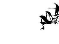 Stefan Pautze Stefan Pautze