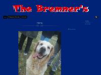 gå till webbplats gå till webbplats