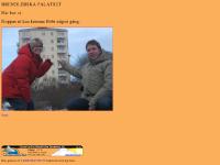 liten brendler.se skärmbild