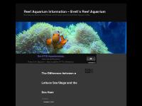 Reef Aquarium Information – Brett’s Reef Aquarium | Reef Aquarium Articles, Posts, Pictures and Information about the Salt Water Aquarium Hobby. Reef Aquarium Information – Brett’s Reef Aquarium | Reef Aquarium Articles, Posts, Pictures and Information about the Salt Water Aquarium Hobby.