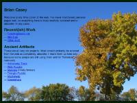 Astronomy Tools, Web Puzzler, Mancala, Triangle Puzzle Astronomy Tools, Web Puzzler, Mancala, Triangle Puzzle