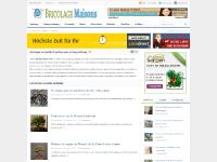 bricolagejardins.com bricolagejardins.com