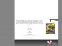 Bridge Crane Specialists Bridge Crane Specialists