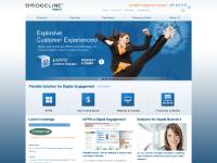 bridgelinedigital.com - bridgelinedigital bridgelinedigital.com - bridgelinedigital