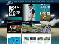 bridgeportbluefish.com: Home