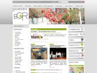 Ville de Brie-Comte-Robert Ville de Brie-Comte-Robert