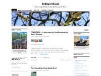 brilliantbrent.wordpress.com Brilliant Brent, Brent Events&nbsp;Calendar, About&nbsp;us