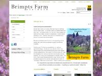Group Accommodation, B&B, Event and Meeting Facilties, at Brimpts Farm Dartmoor, Devon Group Accommodation, B&B, Event and Meeting Facilties, at Brimpts Farm Dartmoor, Devon