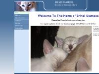 brindisiamese.co.uk brindisiamese.co.uk