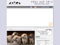 Welcome to Brinsley Animal Rescue