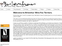 briomhar.co.uk wire fox terrier, wirehaired, fox